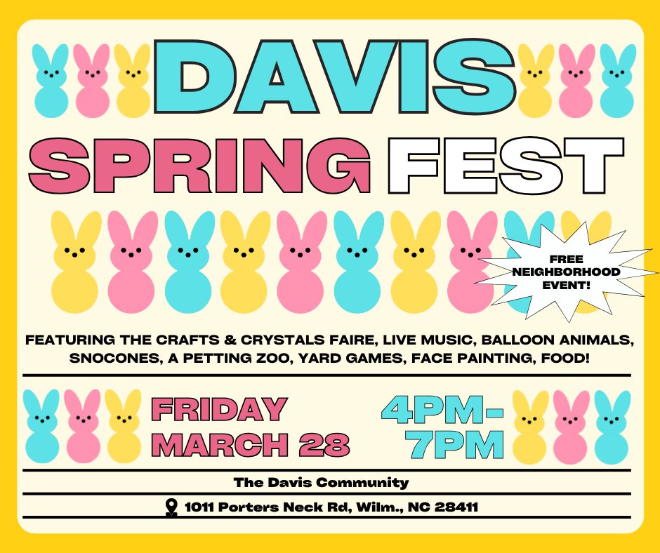 DAVIS COMMUNITY SPRING FEST!