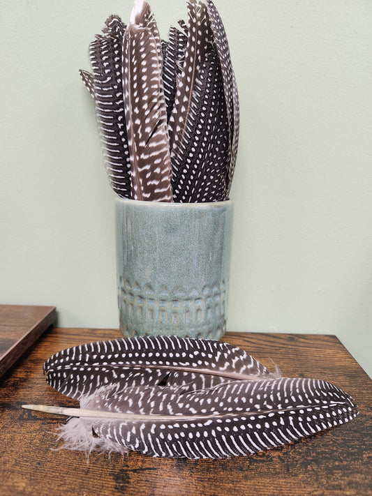 Guineafowl Feather